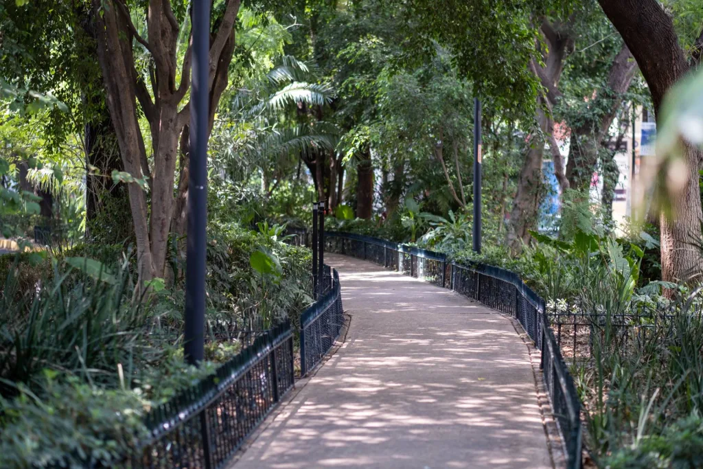 Park in La Condensa Mexico City